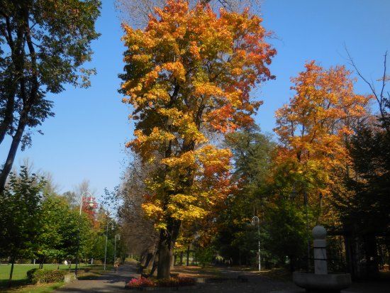 Park im. Tadeusza Kościuszki w Katowicach